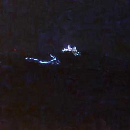 Serra E Mar Couette-café 4*