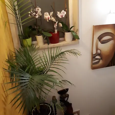 Serra E Mar 4* Chelreira