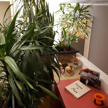 Couette-café Serra E Mar Chelreira