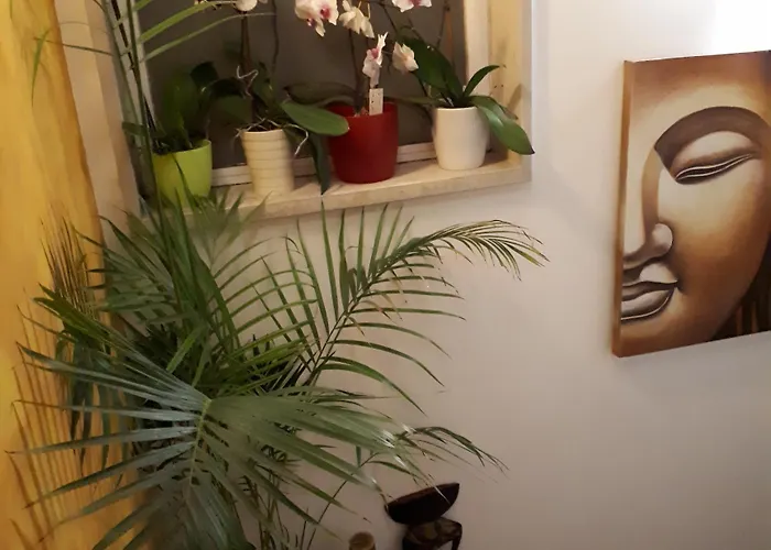 Serra E Mar 4* Chelreira