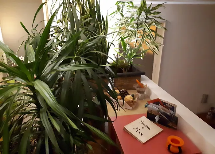 Nocleg ze śniadaniem Serra E Mar Chelreira